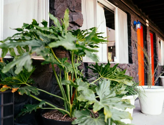 Hotel Corvallis hotel detail image 4