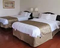 Quality Inn Dickson hotel detail image 2