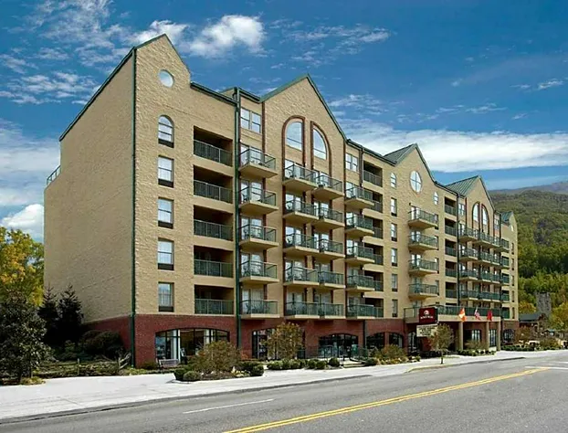 Black Bear Inn & Suites hotel detail image 2