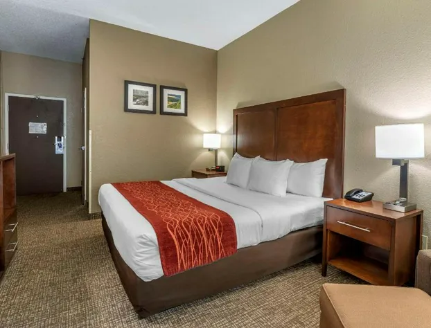 Comfort Inn Kingsport Southeast hotel detail image 3
