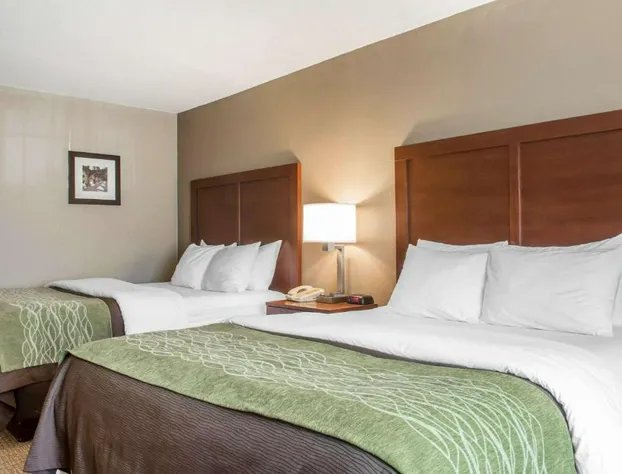Comfort Inn Edinburg South hotel detail image 4