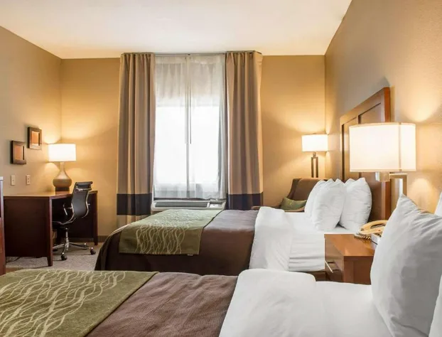 Comfort Inn Edinburg South hotel detail image 2