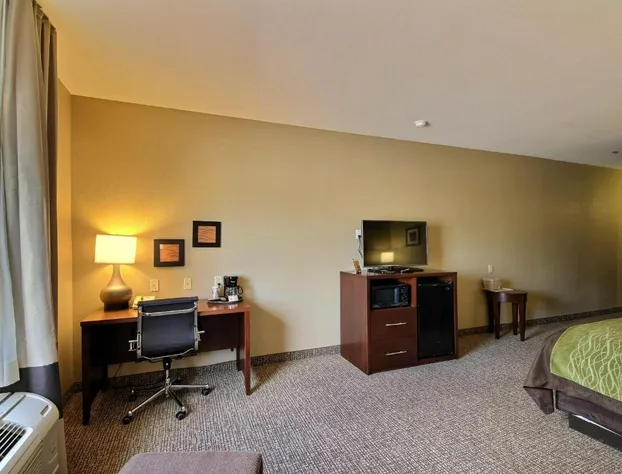 Comfort Inn Edinburg South hotel detail image 3