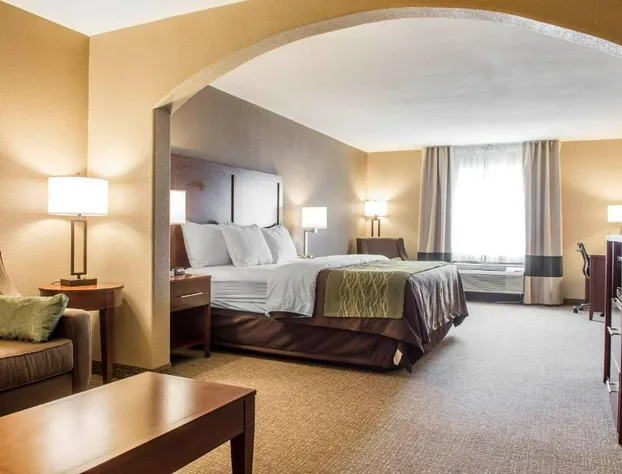 Comfort Inn Edinburg South hotel detail image 4