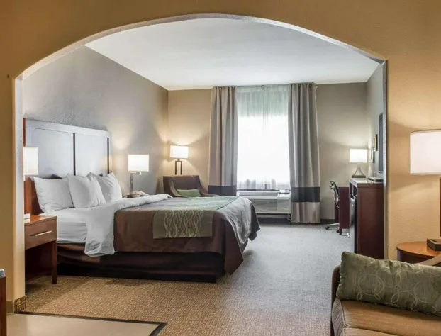 Comfort Inn Edinburg South hotel detail image 2