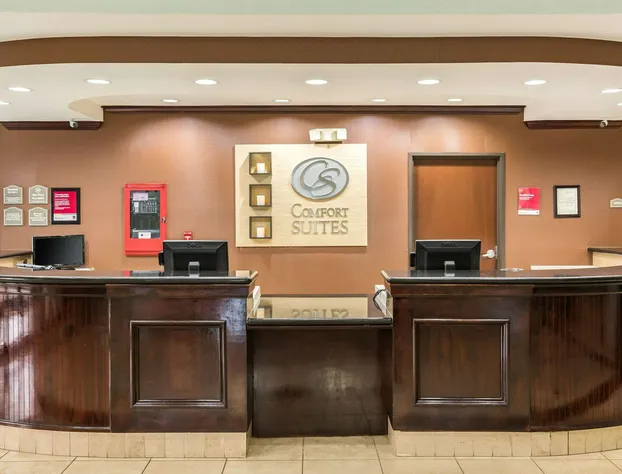 Comfort Suites Beaumont I-10 hotel detail image 2