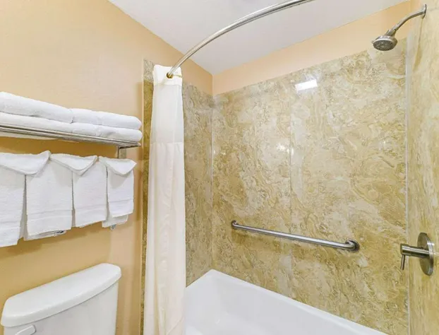 Quality Inn & Suites Lubbock South hotel detail image 2