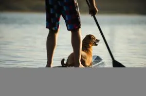 Motel 6 Stafford TX - SW Houston - Sugarland hotel detail image 1