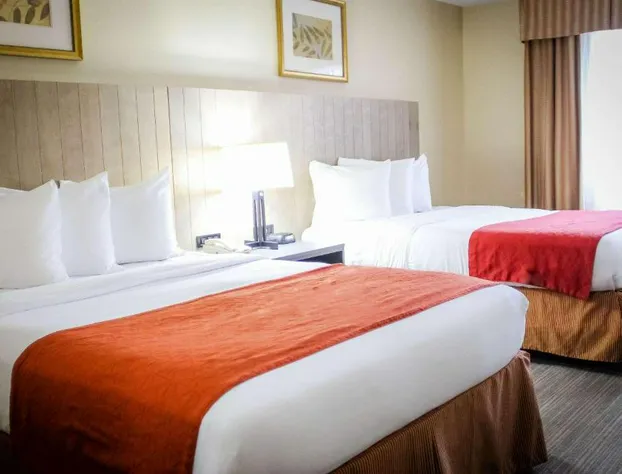 Country Inn & Suites by Radisson, Chester, VA hotel detail image 4