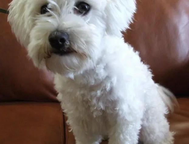 Haven Inn hotel detail image 1