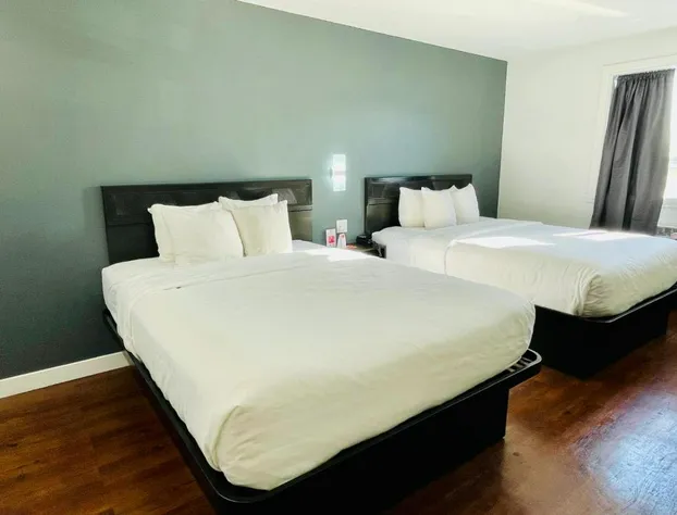 : Econo lodge Hotel Brossard hotel detail image 4