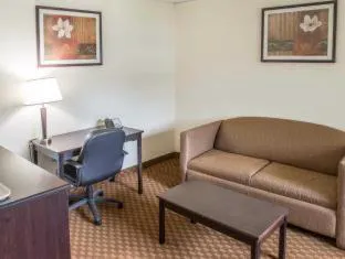 Econo Lodge And Suites Shamokin Dam - Selinsgrove hotel detail image 2