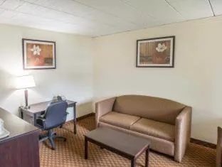 Econo Lodge And Suites Shamokin Dam - Selinsgrove hotel detail image 3