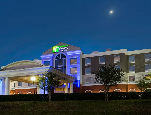 Holiday Inn Express Hotel & Suites Tampa-Fairgrounds-Casino by IHG hotel detail image 3