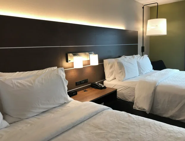 Holiday Inn Express & Suites Hannibal - Medical Center by IHG hotel detail image 3