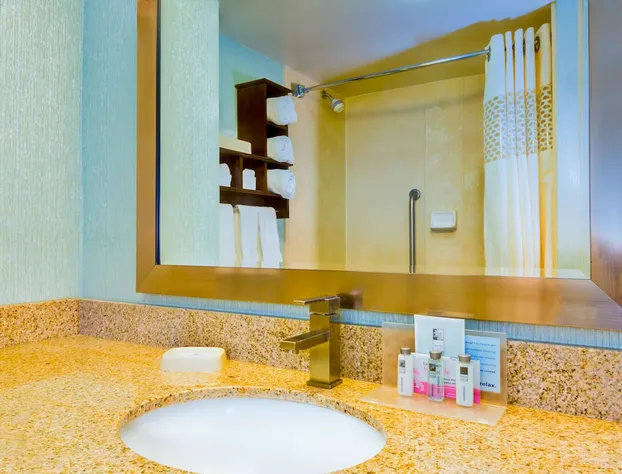 Hampton Inn Huntsville-Arsenal/South Pkway hotel detail image 4