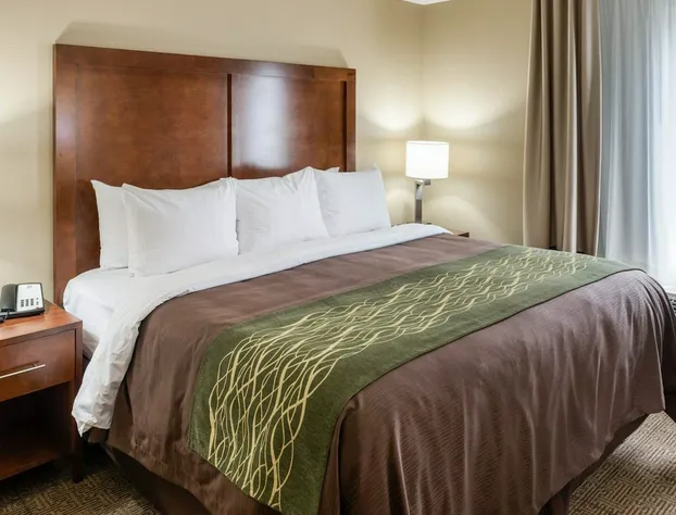 Comfort Inn & Suites West - Medical Center hotel detail image 2