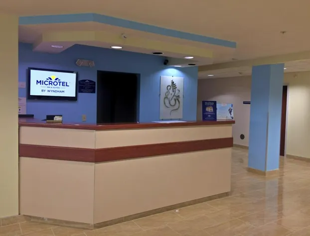 Microtel Inn & Suites by Wyndham Hagerstown by I-81 hotel detail image 3