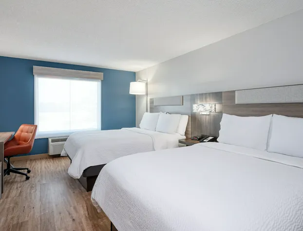 Holiday Inn Express & Suites Columbia-I-20 @ Clemson Rd by IHG hotel detail image 4