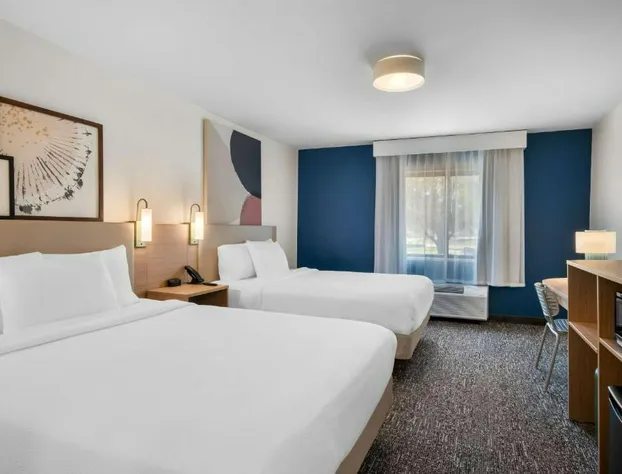 Spark by Hilton Grapevine DFW North hotel detail image 4