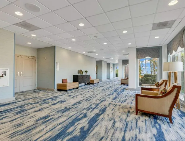 Hilton Garden Inn Myrtle Beach/Coastal Grand Mall hotel detail image 2