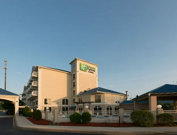 Holiday Inn Express & Suites Asheville SW - Outlet Ctr Area by IHG hotel detail image 2