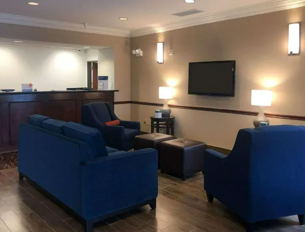 Comfort Inn Early Brownwood hotel detail image 3