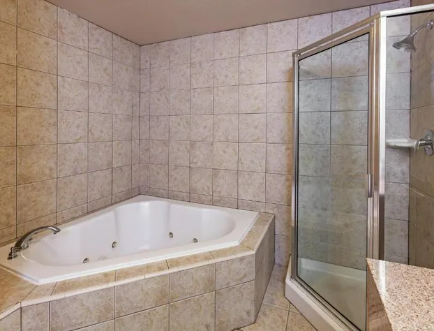 Holiday Inn Express Hotel & Suites Pharr by IHG hotel detail image 3
