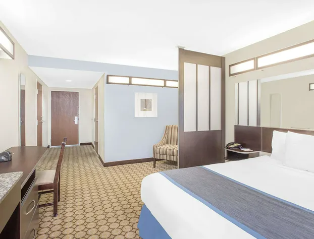 Microtel Inn & Suites by Wyndham San Angelo hotel detail image 3