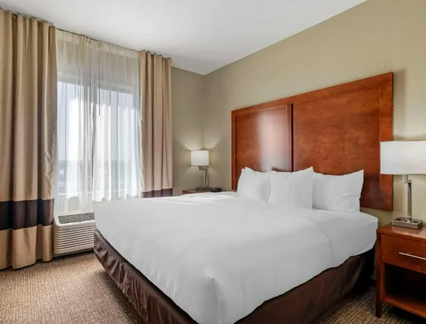 Comfort Inn & Suites hotel detail image 3
