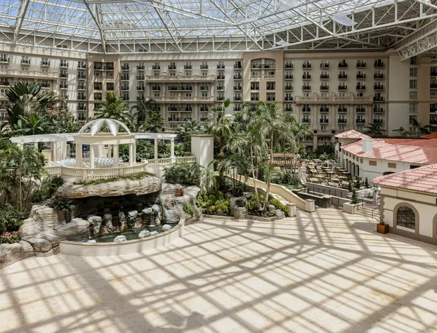 Gaylord Palms Resort & Convention Center hotel detail image 3