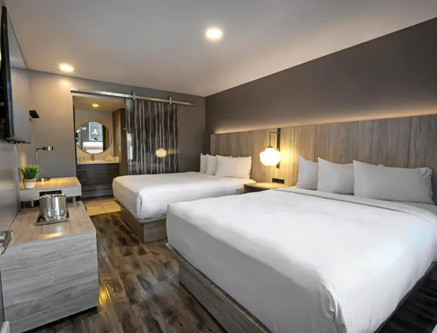 Oasis at Gold Spike hotel detail image 3