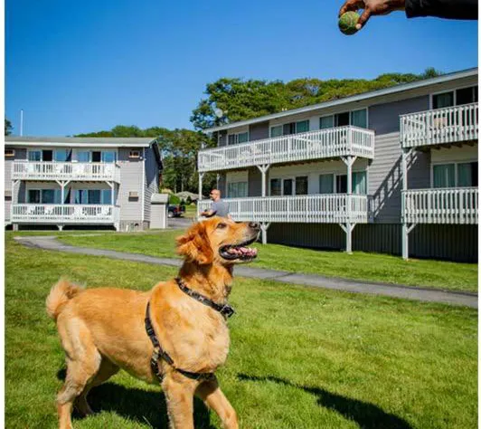 Smuggler's Cove Inn hotel detail image 2