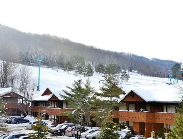 The Inn At Holiday Valley hotel detail image 1