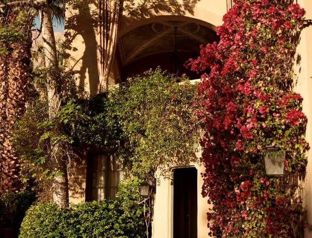 The Willows Palm Springs hotel detail image 3