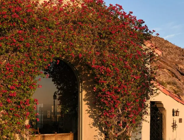 The Willows Palm Springs hotel detail image 4