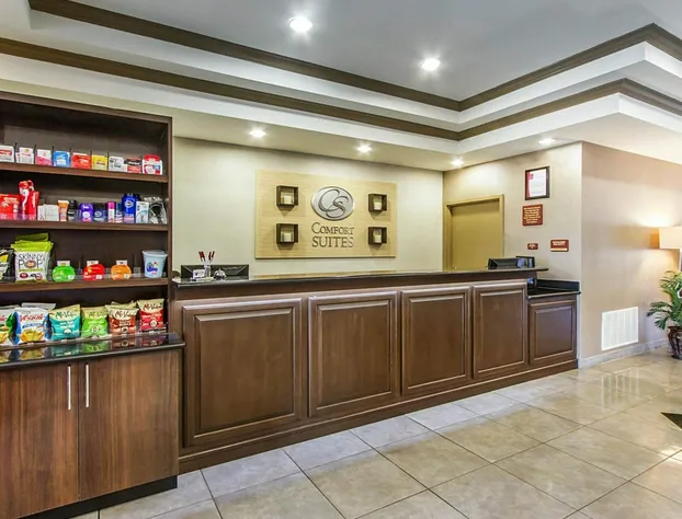 Comfort Suites hotel detail image 4