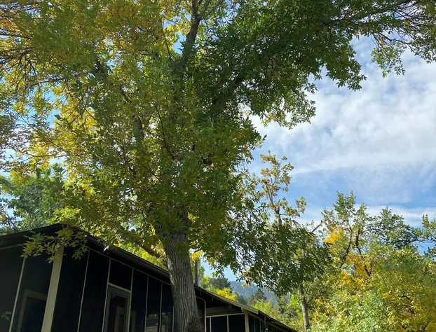 Colorado Chautauqua hotel detail image 2