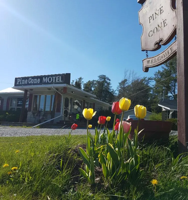 Pine cone Motel hotel hero