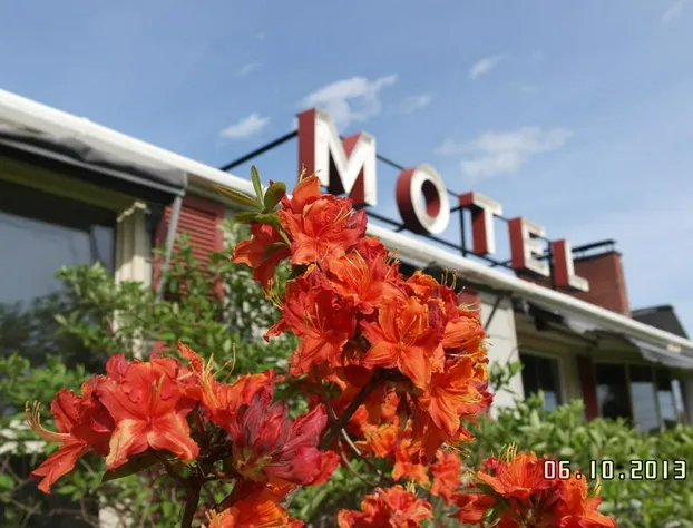 Pine cone Motel hotel detail image 2