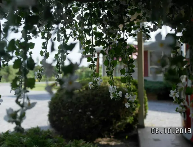 Pine cone Motel hotel detail image 4