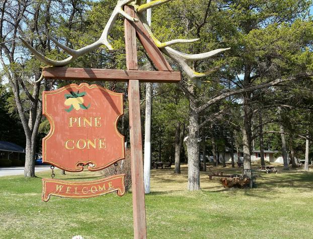 Pine cone Motel hotel detail image 1
