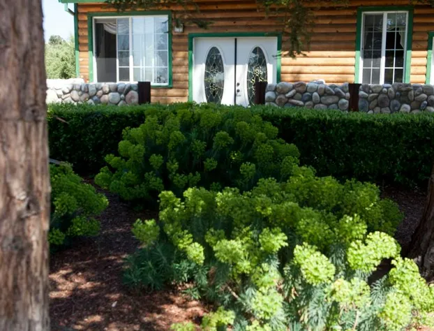 The Purple Orchid Wine Country Resort & Spa hotel detail image 4