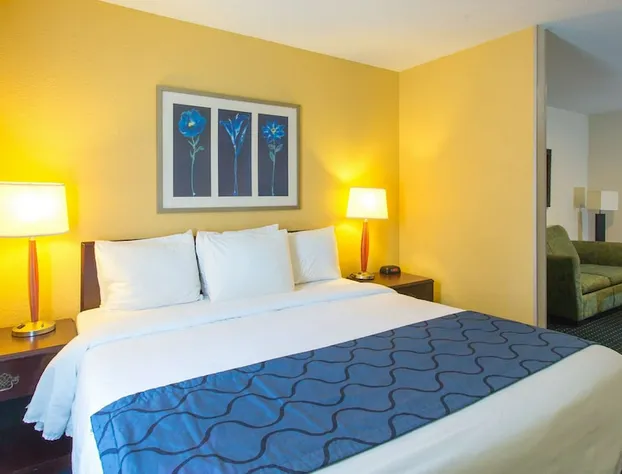 Studios & Suites 4 Less Gum Road hotel detail image 4