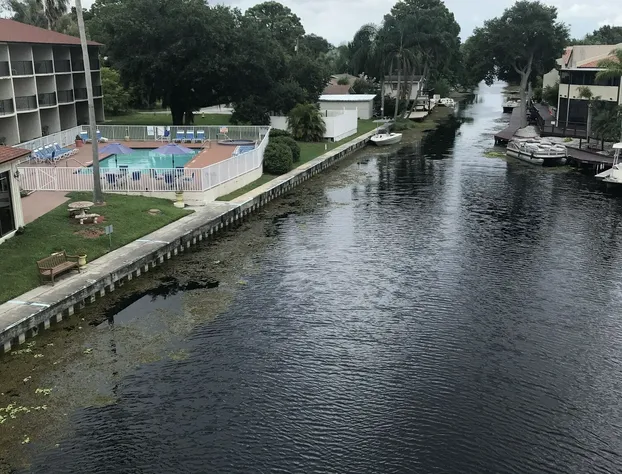 Vista Inn Lake Tarpon hotel detail image 3
