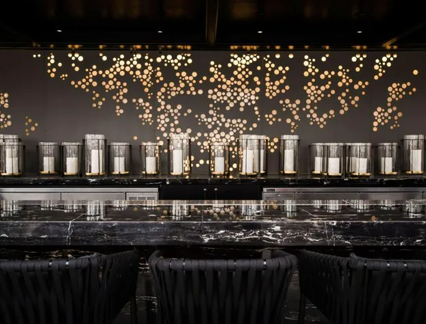 LondonHouse Chicago, Curio Collection by Hilton hotel detail image 3