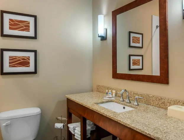Comfort Inn South Chesterfield - Colonial Heights hotel detail image 2