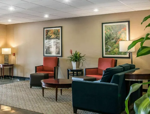 Comfort Suites Wixom - Novi hotel detail image 2