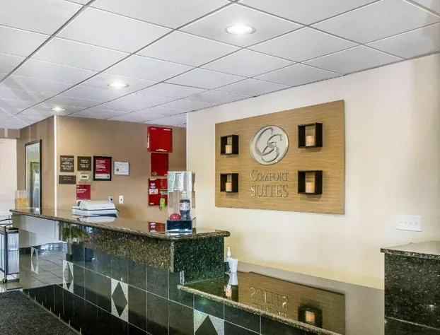 Comfort Suites Wixom - Novi hotel detail image 3