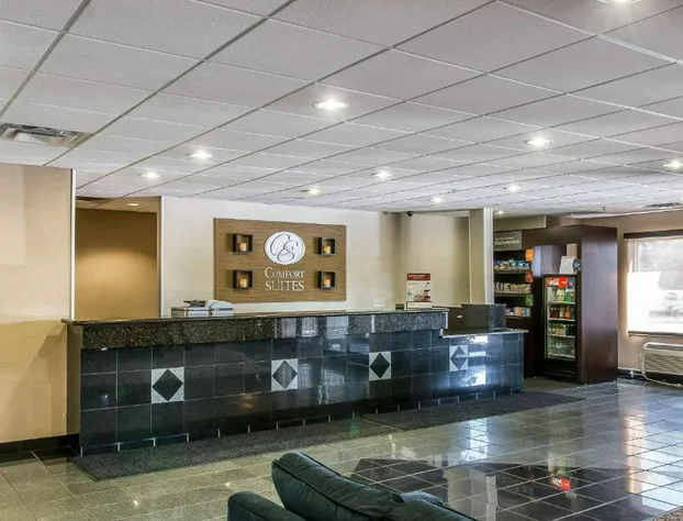 Comfort Suites Wixom - Novi hotel detail image 4